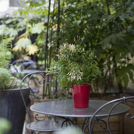 Appart hôtel Hotelhome 16 4*